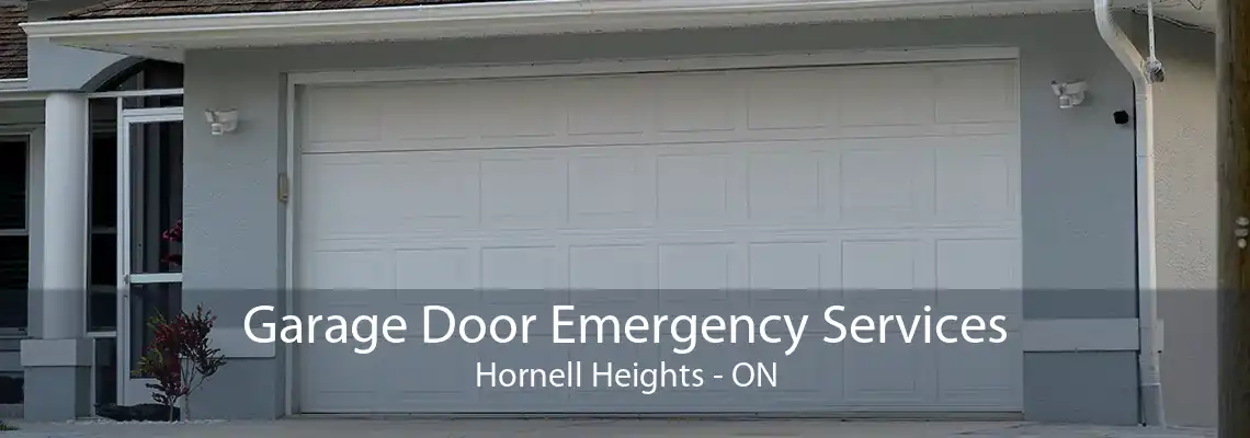 Garage Door Emergency Services Hornell Heights - ON