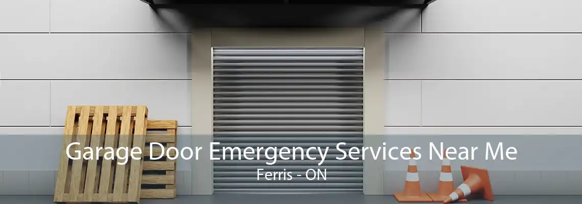Garage Door Emergency Services Near Me Ferris - ON