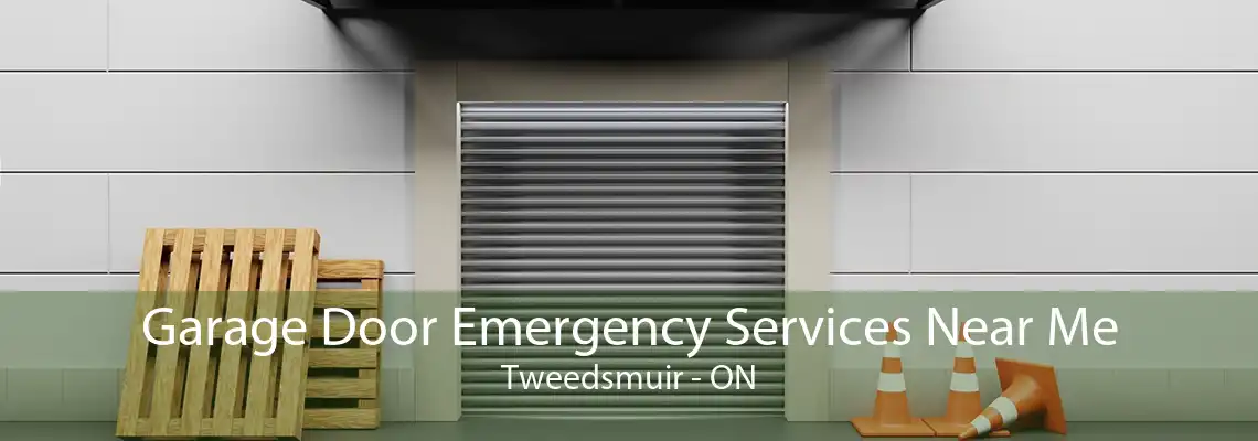 Garage Door Emergency Services Near Me Tweedsmuir - ON