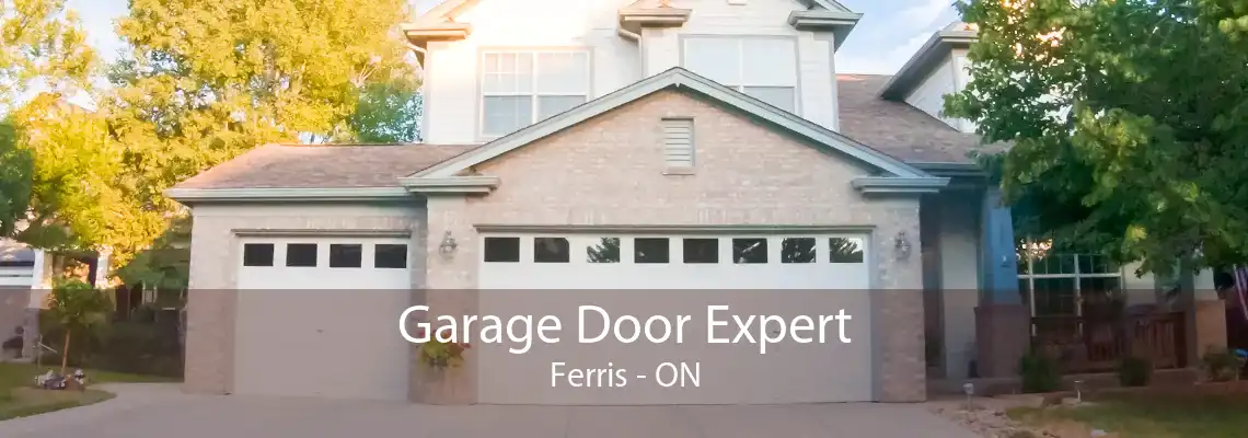 Garage Door Expert Ferris - ON