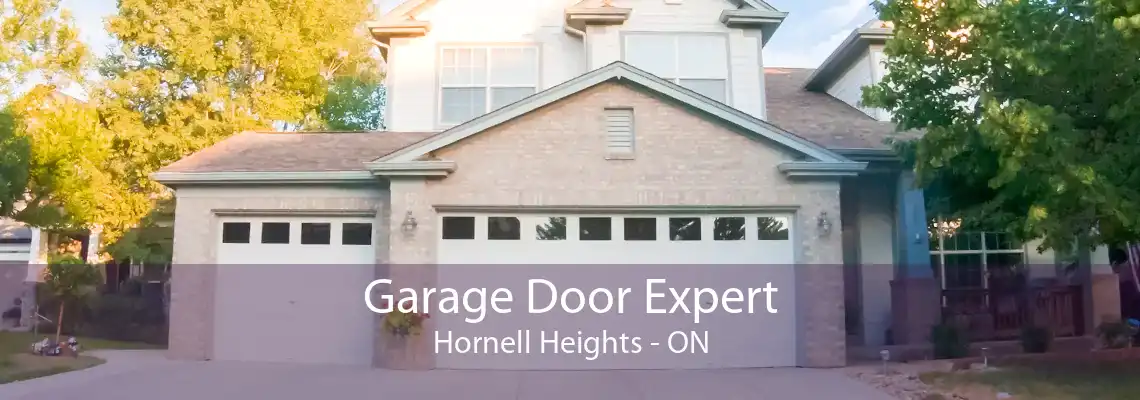 Garage Door Expert Hornell Heights - ON