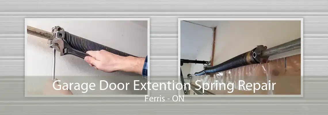 Garage Door Extention Spring Repair Ferris - ON