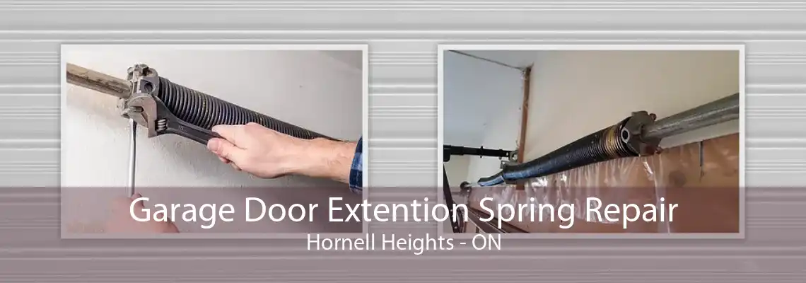Garage Door Extention Spring Repair Hornell Heights - ON