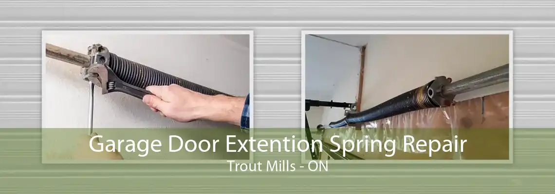 Garage Door Extention Spring Repair Trout Mills - ON
