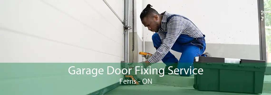 Garage Door Fixing Service Ferris - ON