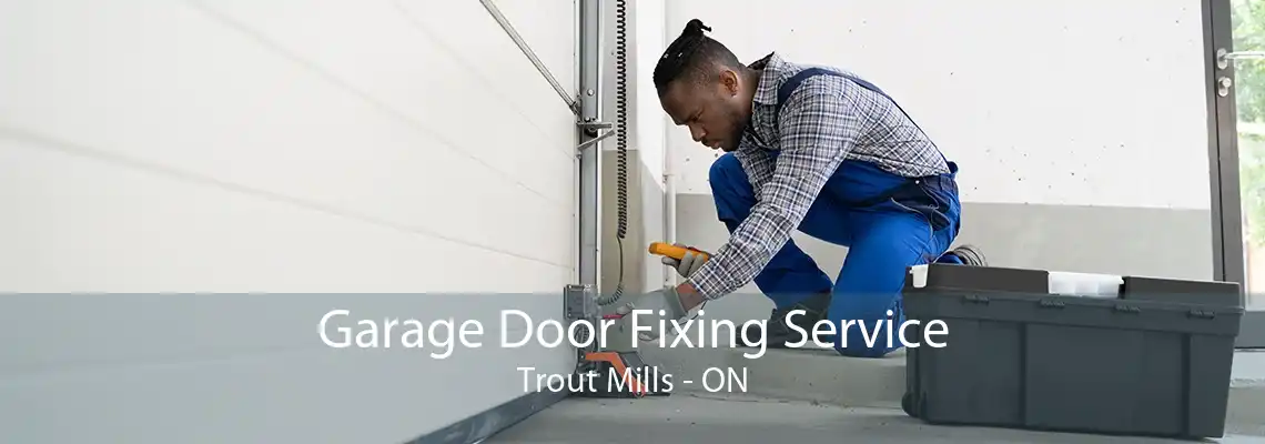 Garage Door Fixing Service Trout Mills - ON