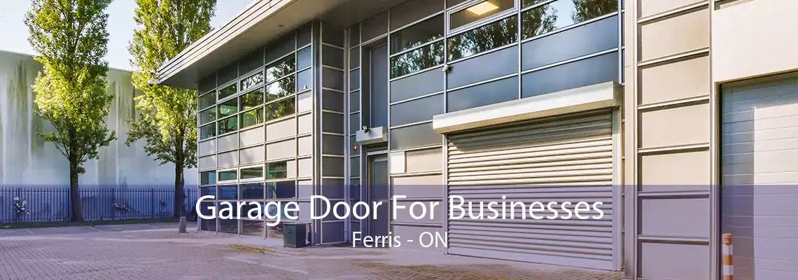Garage Door For Businesses Ferris - ON