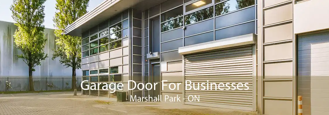 Garage Door For Businesses Marshall Park - ON