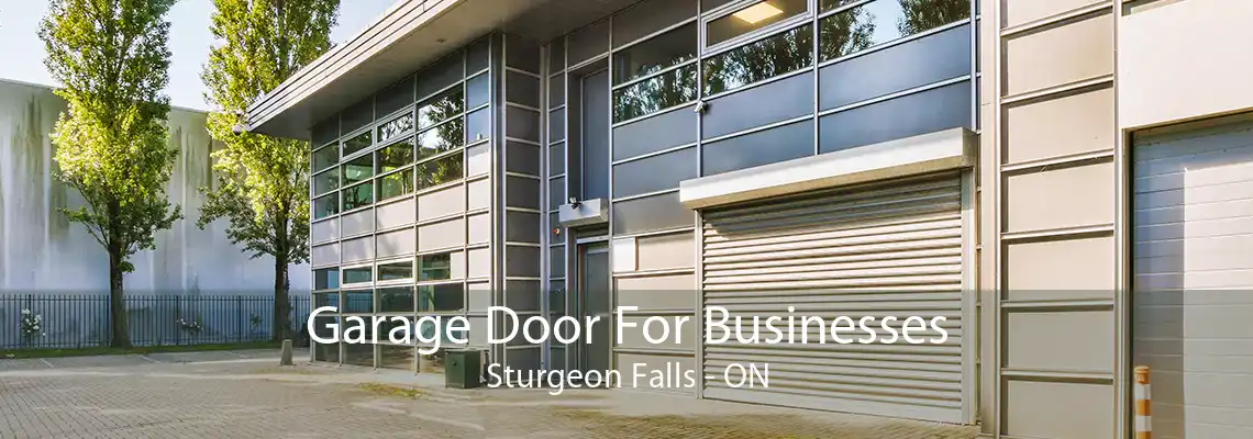 Garage Door For Businesses Sturgeon Falls - ON