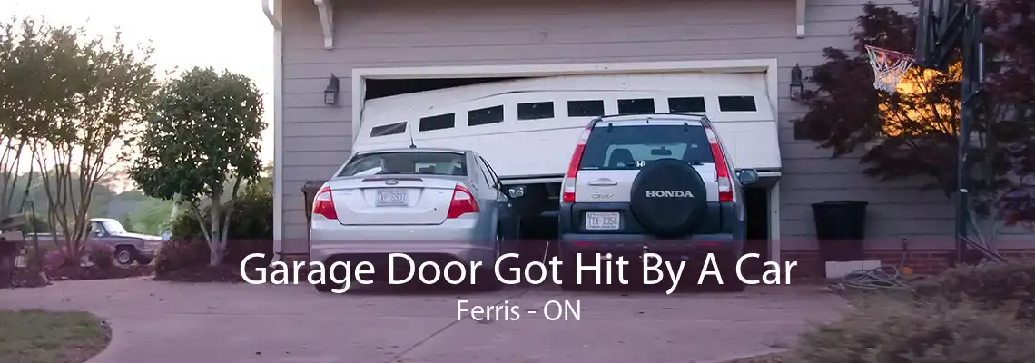 Garage Door Got Hit By A Car Ferris - ON