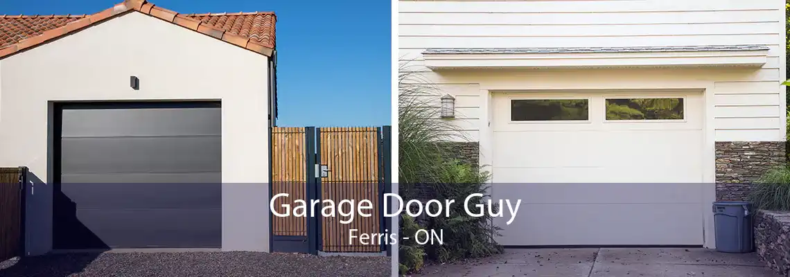 Garage Door Guy Ferris - ON