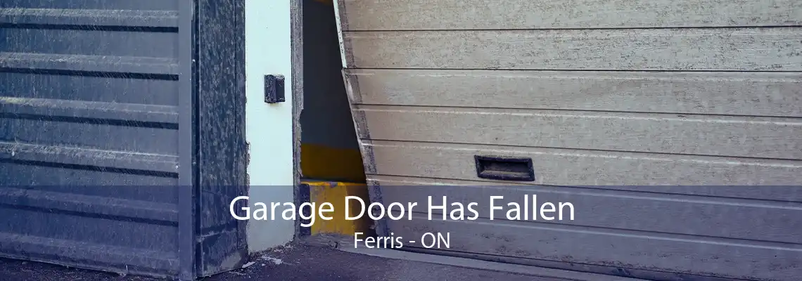 Garage Door Has Fallen Ferris - ON
