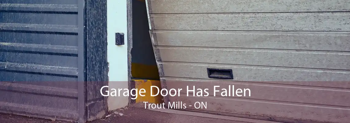 Garage Door Has Fallen Trout Mills - ON