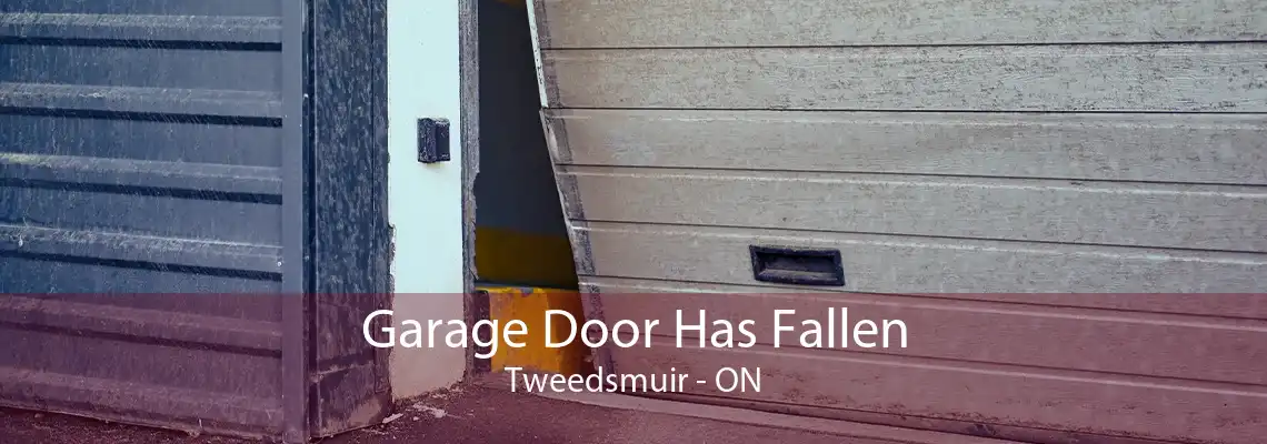 Garage Door Has Fallen Tweedsmuir - ON
