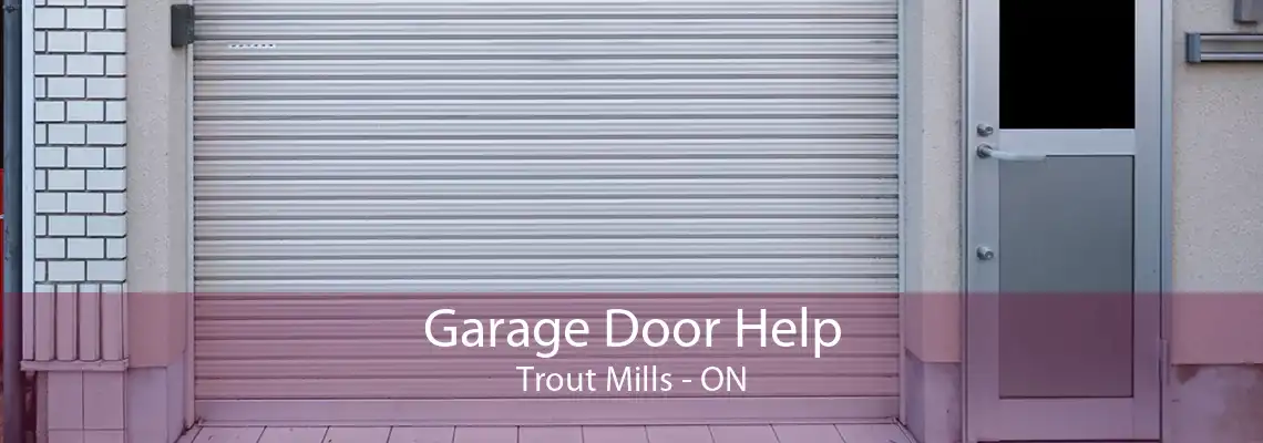 Garage Door Help Trout Mills - ON