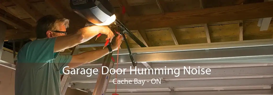Garage Door Humming Noise Cache Bay - ON