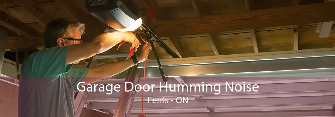 Garage Door Humming Noise Ferris - ON