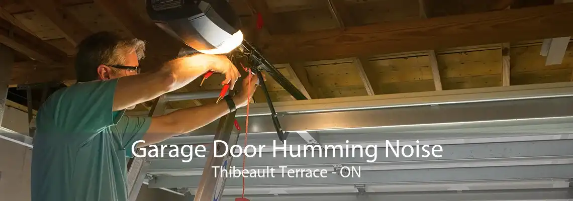 Garage Door Humming Noise Thibeault Terrace - ON