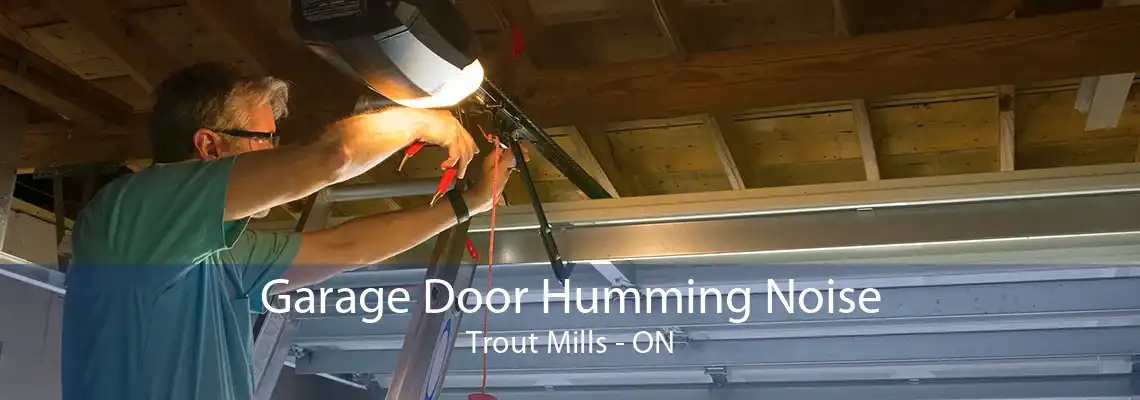 Garage Door Humming Noise Trout Mills - ON