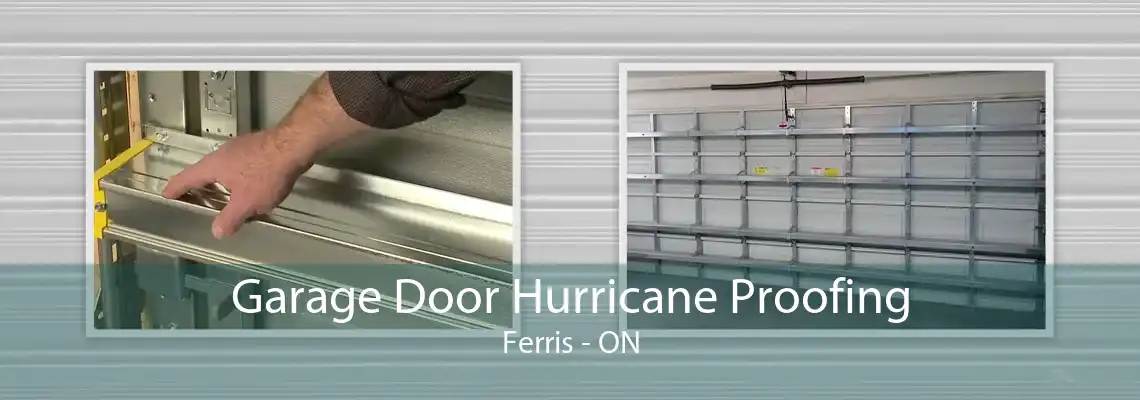 Garage Door Hurricane Proofing Ferris - ON