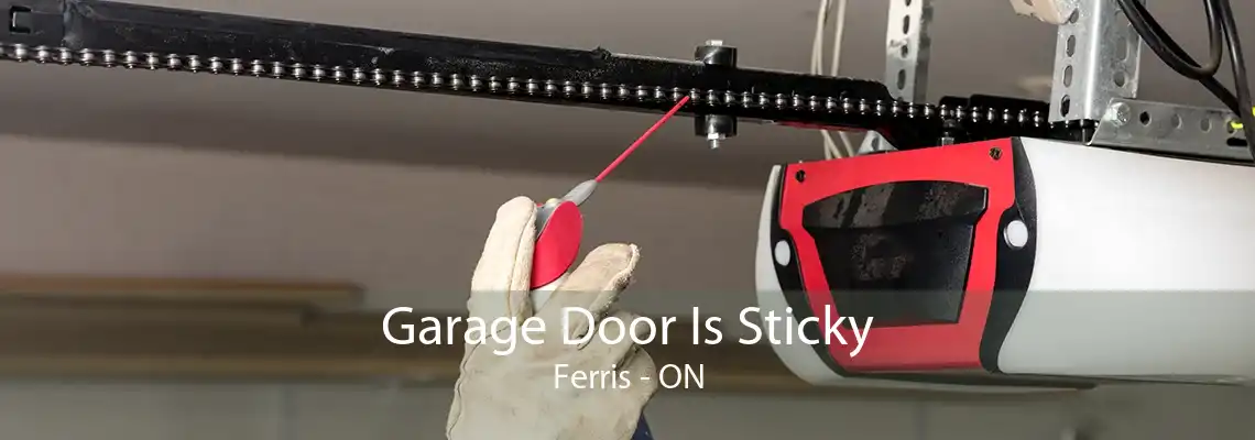Garage Door Is Sticky Ferris - ON