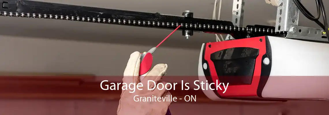 Garage Door Is Sticky Graniteville - ON