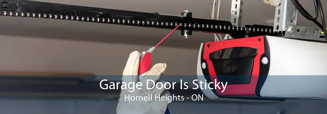 Garage Door Is Sticky Hornell Heights - ON