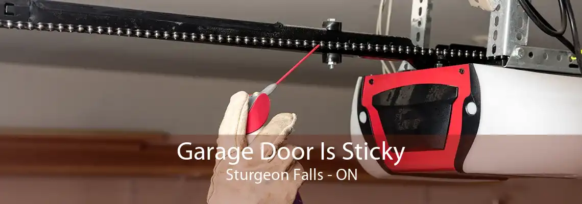 Garage Door Is Sticky Sturgeon Falls - ON
