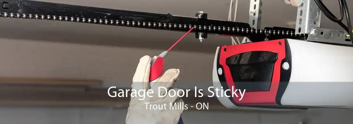 Garage Door Is Sticky Trout Mills - ON