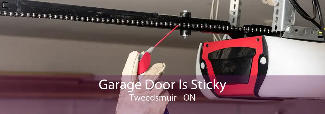 Garage Door Is Sticky Tweedsmuir - ON