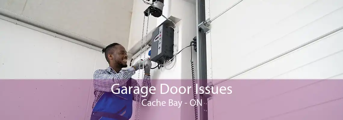 Garage Door Issues Cache Bay - ON