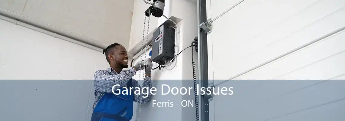 Garage Door Issues Ferris - ON