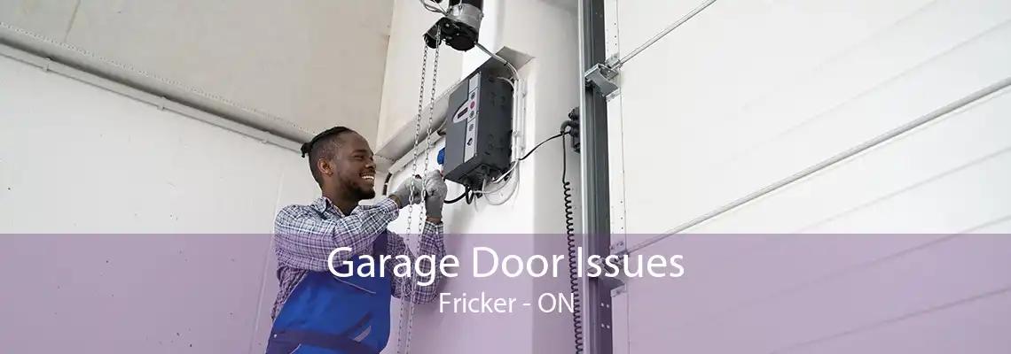 Garage Door Issues Fricker - ON