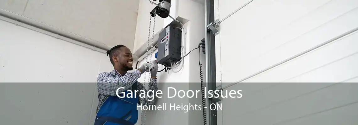 Garage Door Issues Hornell Heights - ON
