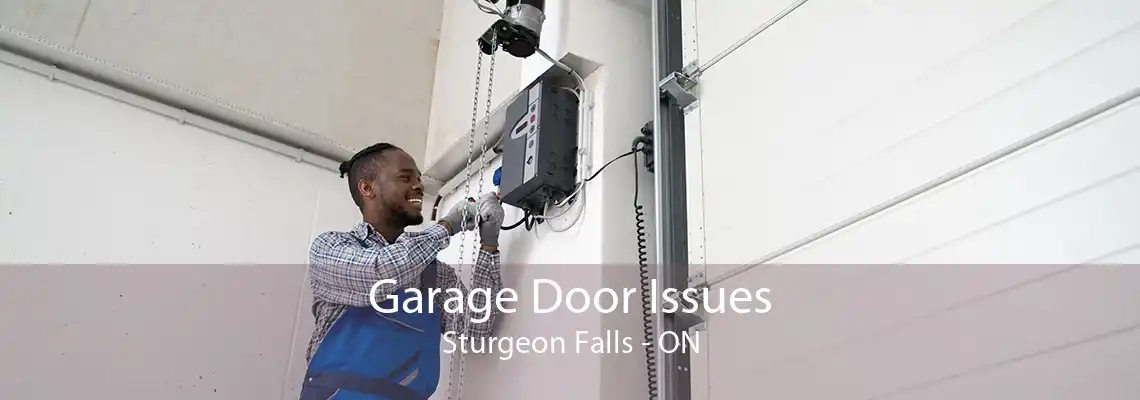 Garage Door Issues Sturgeon Falls - ON