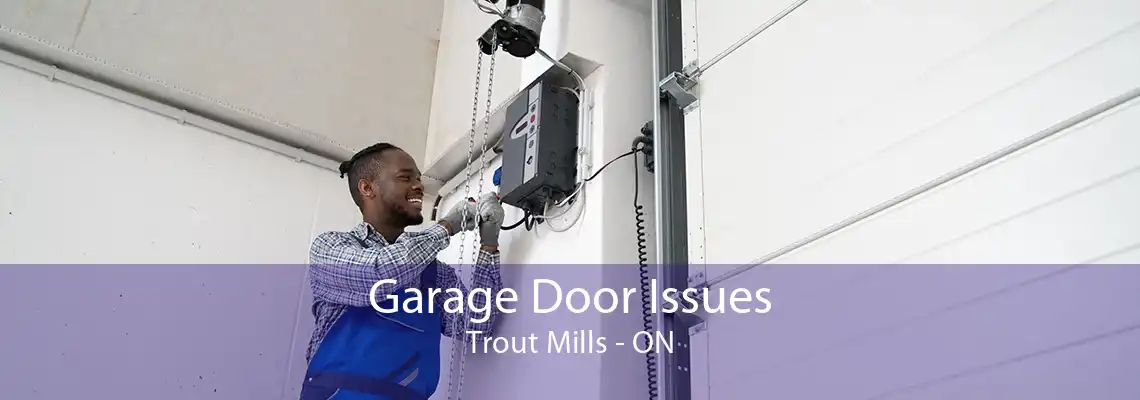 Garage Door Issues Trout Mills - ON