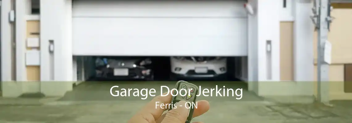 Garage Door Jerking Ferris - ON