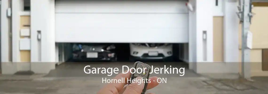 Garage Door Jerking Hornell Heights - ON