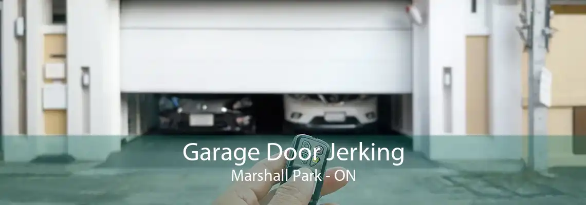Garage Door Jerking Marshall Park - ON