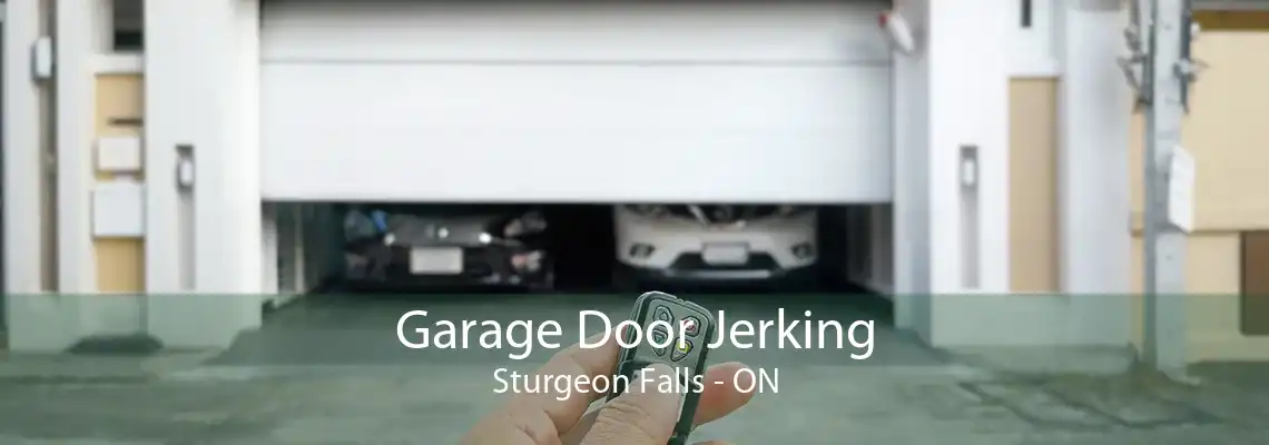 Garage Door Jerking Sturgeon Falls - ON
