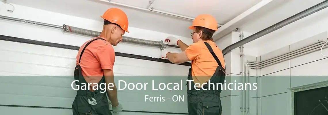 Garage Door Local Technicians Ferris - ON