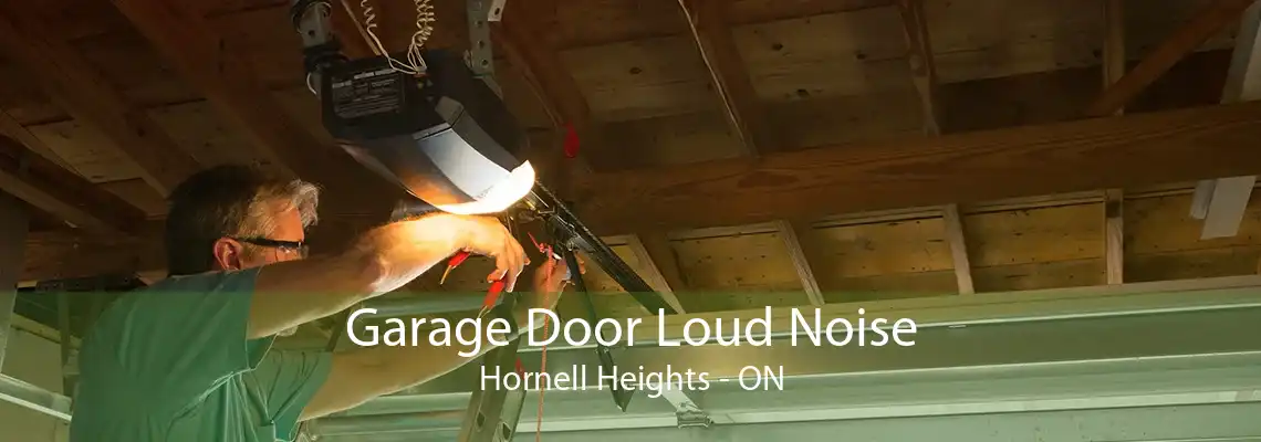 Garage Door Loud Noise Hornell Heights - ON