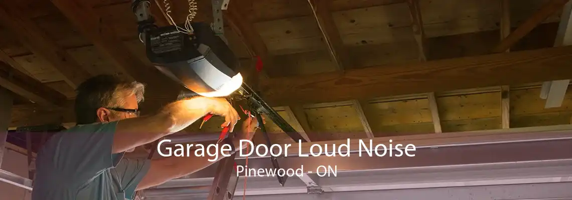 Garage Door Loud Noise Pinewood - ON