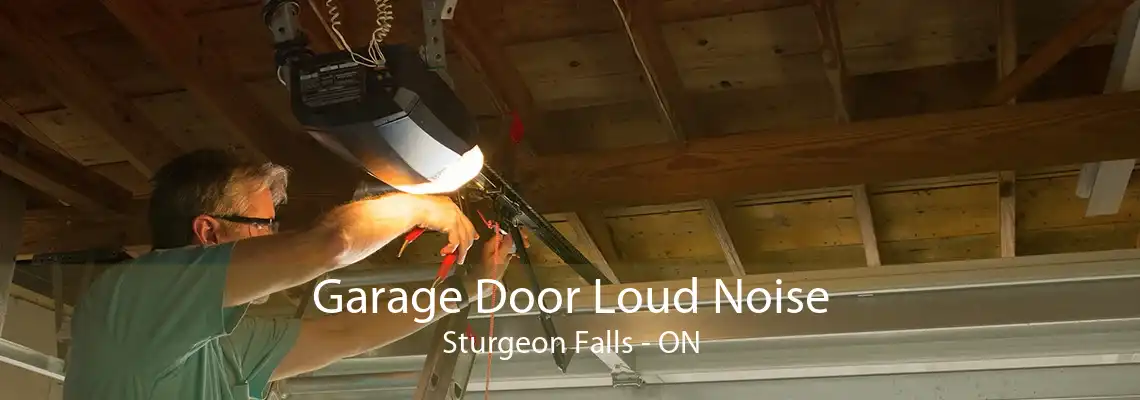 Garage Door Loud Noise Sturgeon Falls - ON