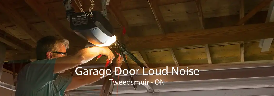 Garage Door Loud Noise Tweedsmuir - ON