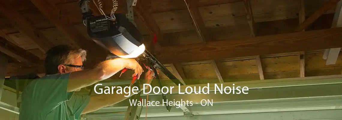 Garage Door Loud Noise Wallace Heights - ON