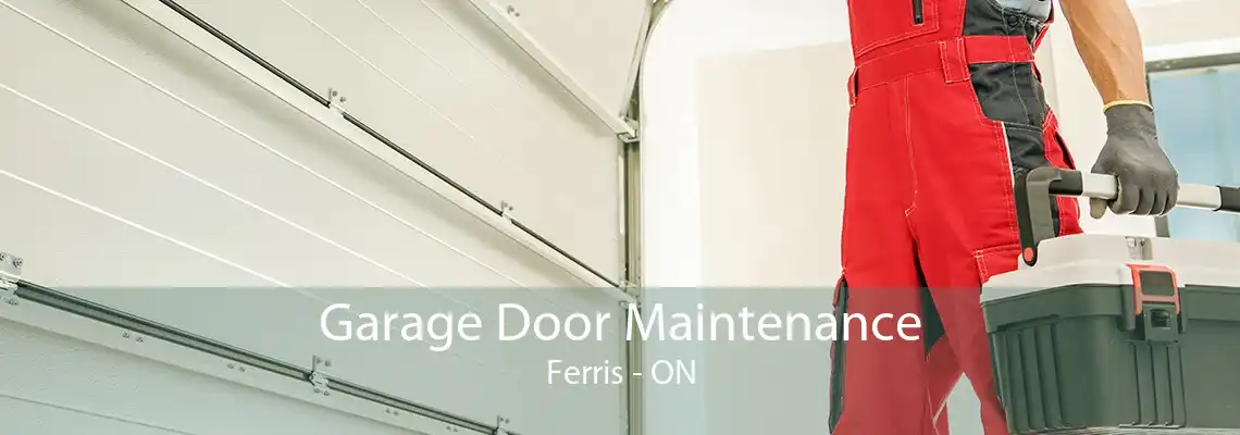 Garage Door Maintenance Ferris - ON