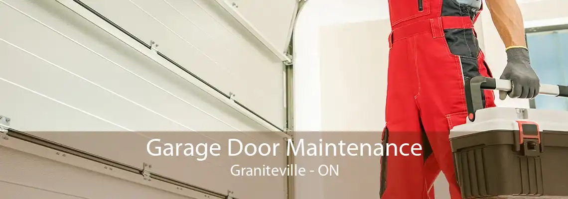 Garage Door Maintenance Graniteville - ON