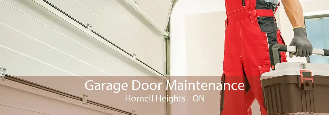 Garage Door Maintenance Hornell Heights - ON