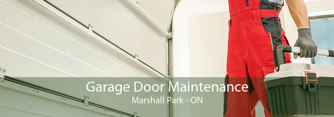 Garage Door Maintenance Marshall Park - ON
